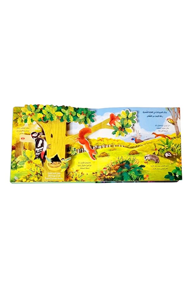 مملكة الحيوان - حيوانات الغابة ( كتاب 3D تفاعلي ) - 7