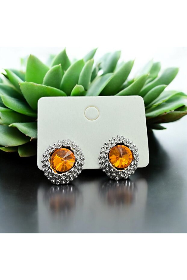 Renkli Taşlı Küpe - 1