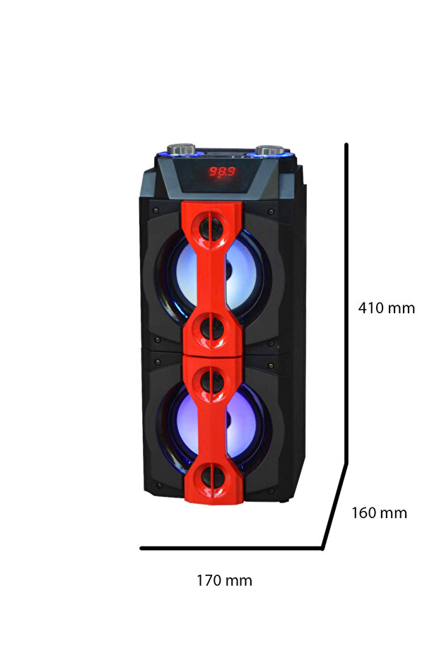 Professional Speaker - 2