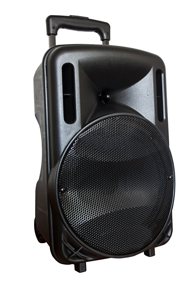 Professional Active Speaker, - 1
