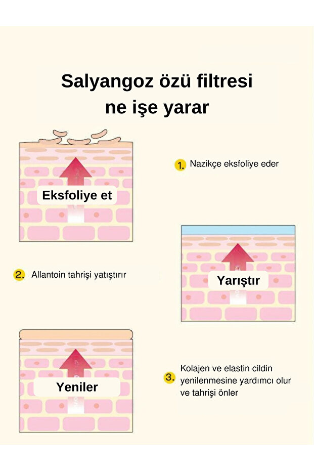 Advanced Snail 96 Mucin Power Essence 100ml - Salyangoz Özlü Nemlendirici ve Besleyici Esans - 4
