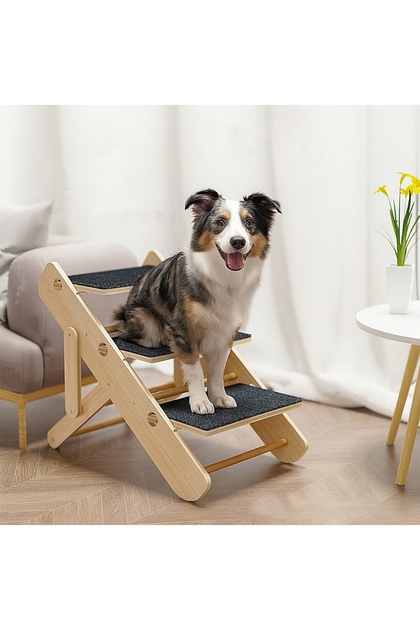 Köpek Tırmanma Rampası - 2