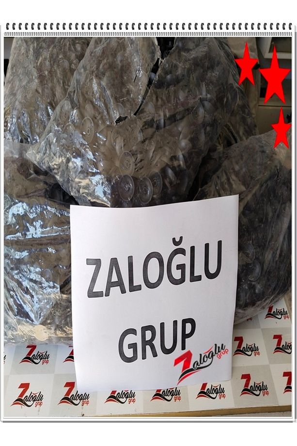Zaloğlu Grup Ps5 Analog Topuz 1.sınıf 1.kalite Update Versiyon ( 2 Adet ) - 7