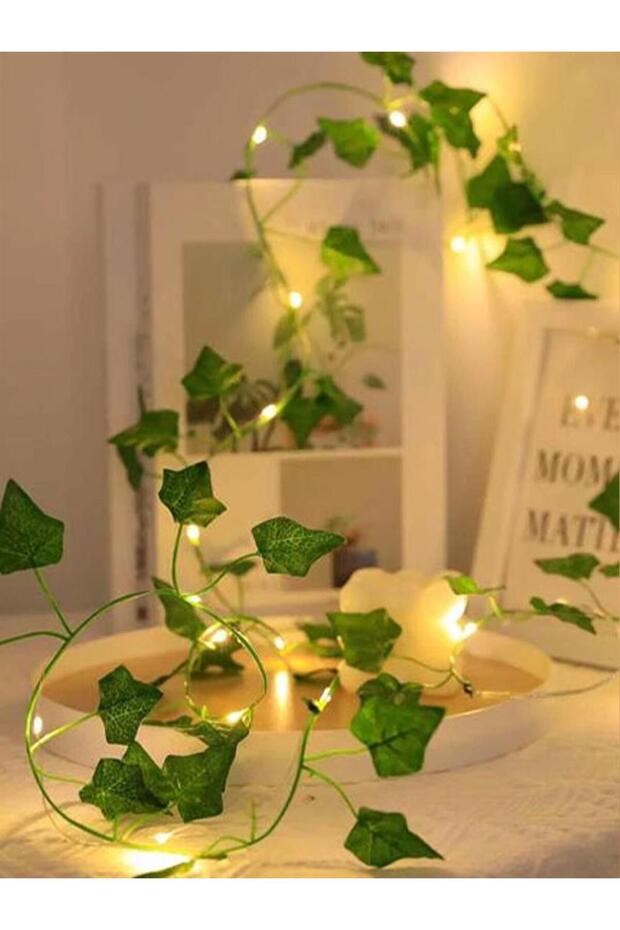 Işıklı Yapay Sarmaşık - 2