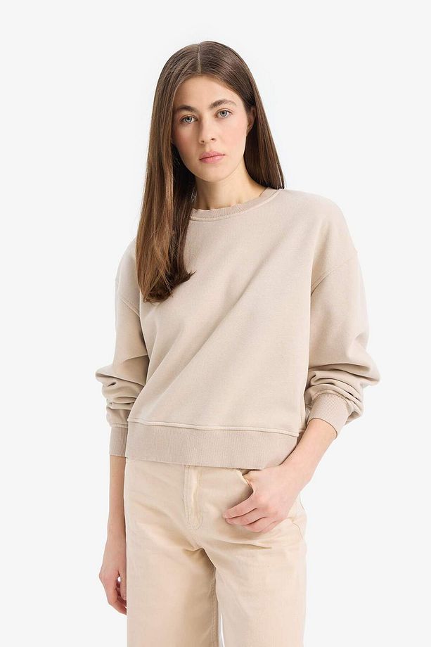 Boxy Fit Bisiklet Yaka Basic Düz Kalın Sweatshirt E4732AX25SP - 3