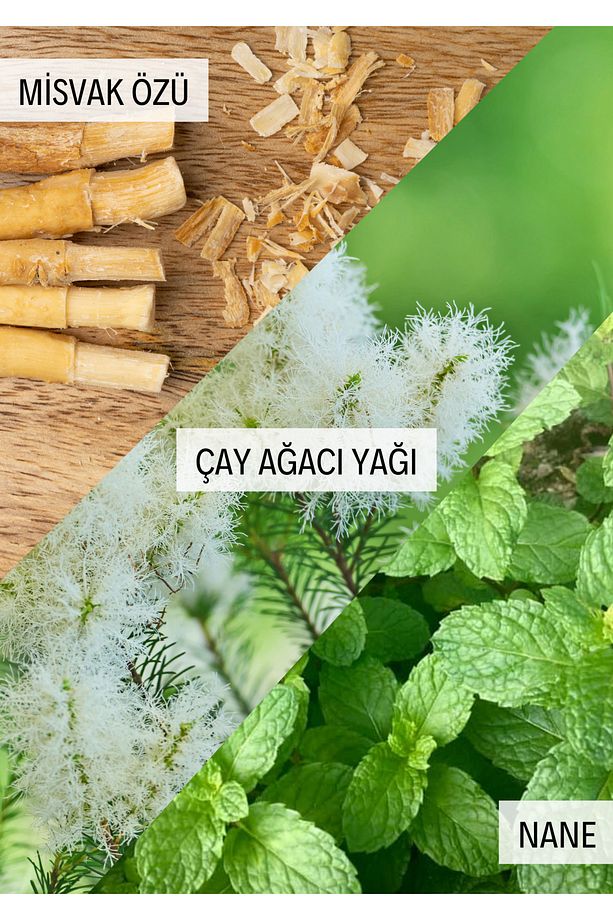 Diş Macunu – Nane, Çay Ağacı Ve Misvak Içerikli Ferahlık | 100 ml - 2