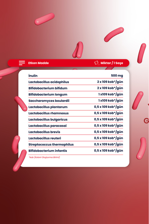Probiyotik & Prebiyotik 30 Saşe - 3