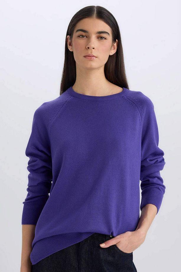 Regular Fit Yumuşak Dokulu Bisiklet Yaka Basic Düz Triko Kazak I6913AZ24WN - 1