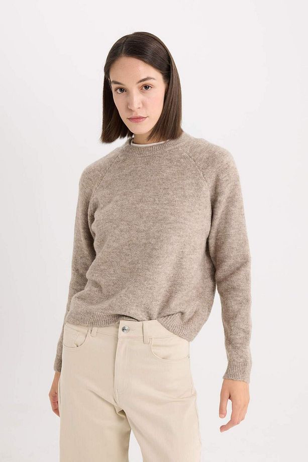 Regular Fit Bisiklet Yaka Basic Düz Triko Kazak D0035AX24WN - 4