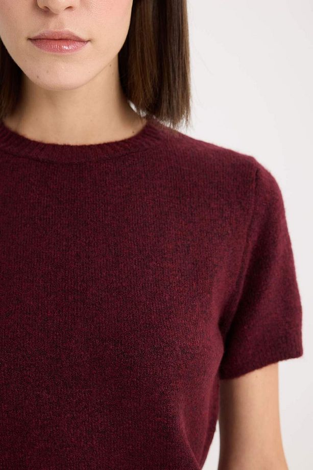 Regular Fit Bisiklet Yaka Basic Düz Triko Kısa Kollu Tişört  Kazak E3214AX24WN - 5