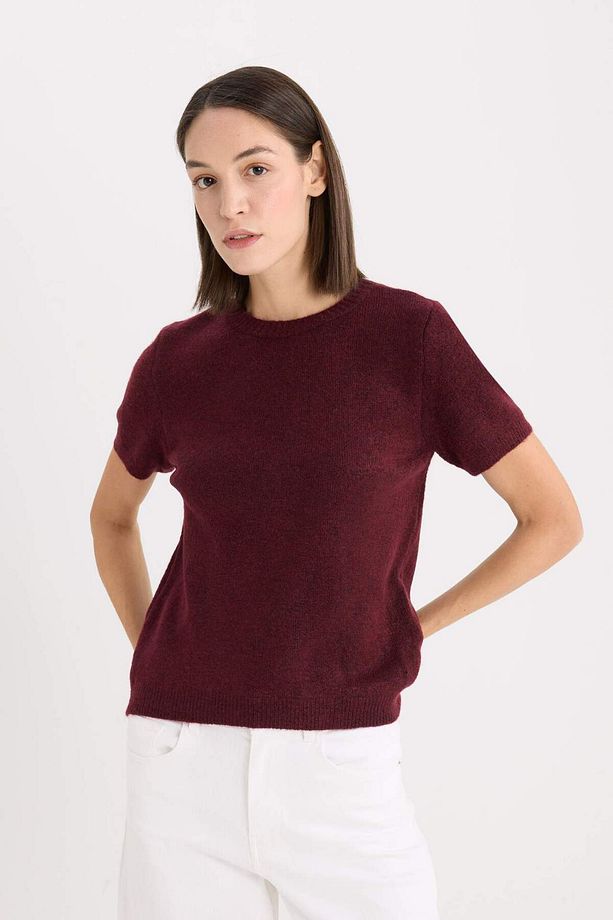 Regular Fit Bisiklet Yaka Basic Düz Triko Kısa Kollu Tişört  Kazak E3214AX24WN - 3
