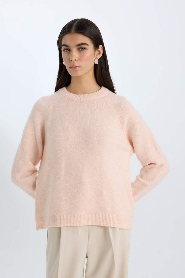 Regular Fit Bisiklet Yaka Triko Kazak D0035AX24WN - 1