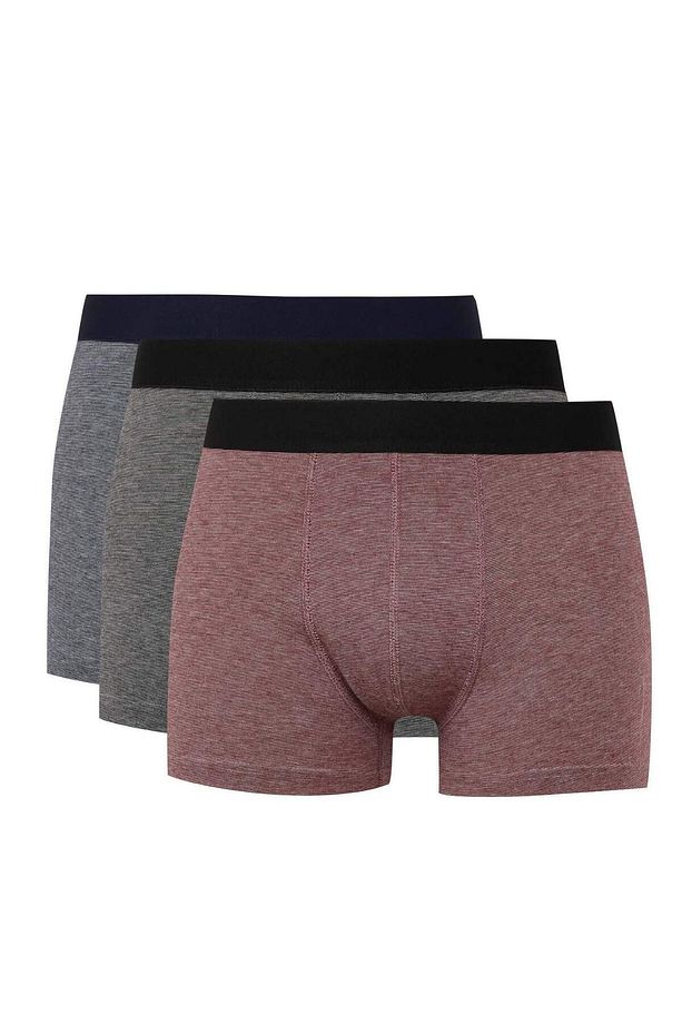 Regular Fit Çizgili 3lü Boxer C3288AX24WN - 1