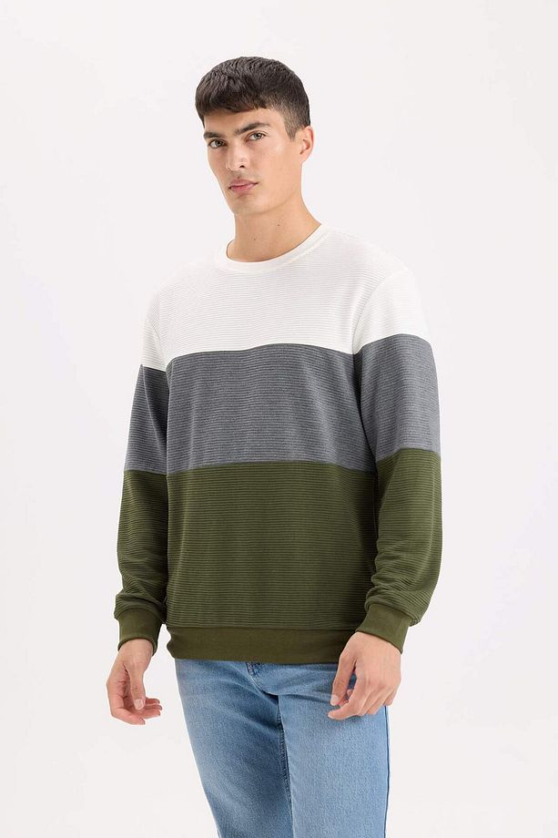 Regular Fit Bisiklet Yaka Jakarlı Sweatshirt D5393AX24AU - 4