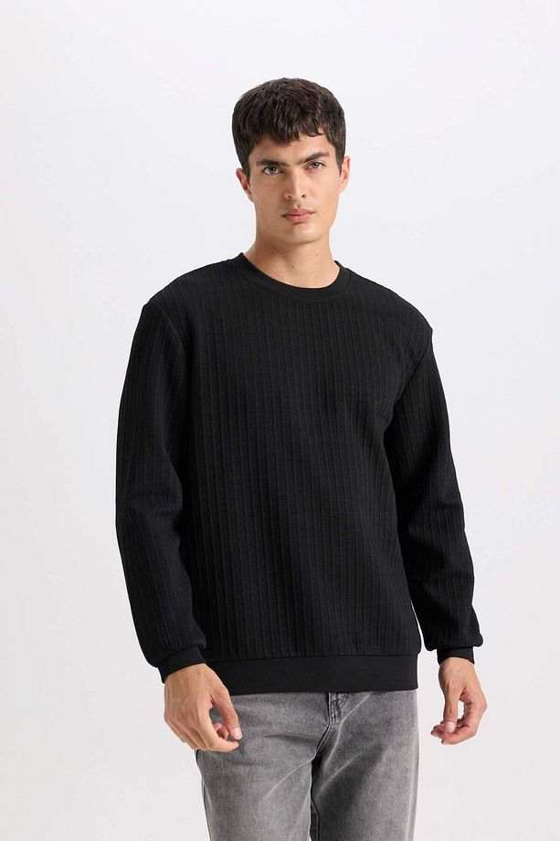 Regular Fit Bisiklet Yaka Jakarlı Basic Düz Sweatshirt D5391AX24AU - 3