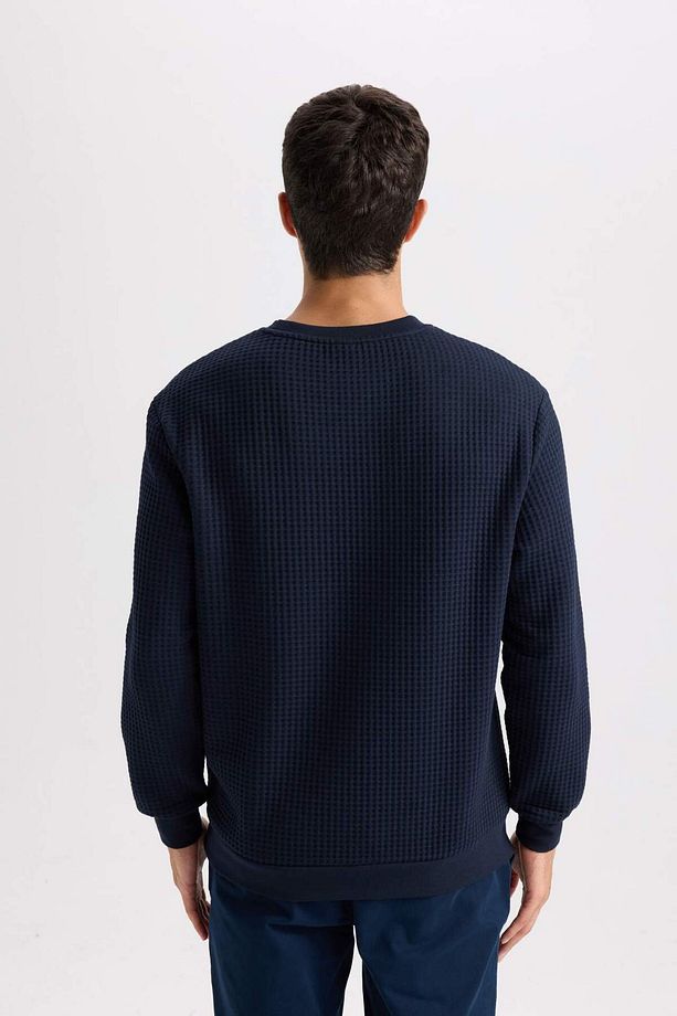 Regular Fit Bisiklet Yaka Jakarlı Sweatshirt D5392AX24AU - 6