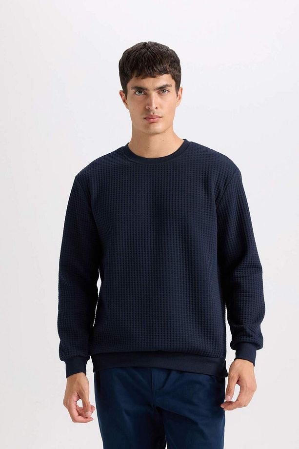 Regular Fit Bisiklet Yaka Jakarlı Sweatshirt D5392AX24AU - 3