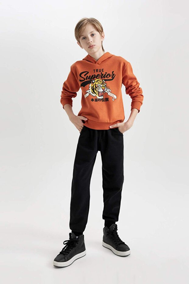 Boy's 2-Piece Set Tiger Printed Hooded Sweatshirt Elastic Waist Jogger Sweatpants D3559A82