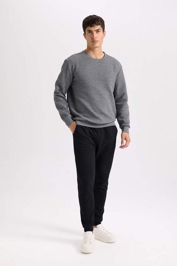 Regular Fit Bisiklet Yaka Jakarlı Sweatshirt D5392AX24AU - 2