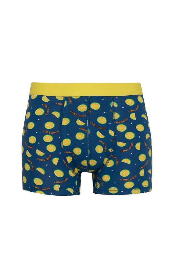Regular Fit Desenli 3lü Boxer C3284AX24WN - 5