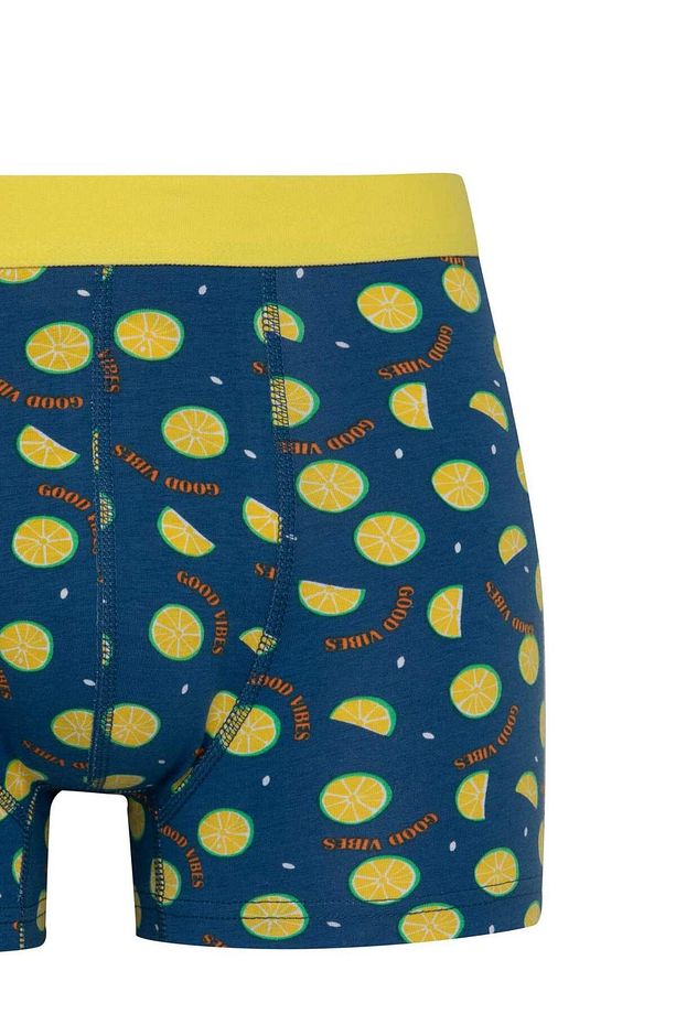 Regular Fit Desenli 3lü Boxer C3284AX24WN - 6