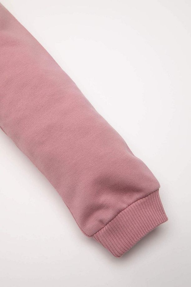 Kız Bebek Bisiklet Yaka Baskılı İçi Yumuşak Tüylü Sweatshirt D7207A524WN - 4