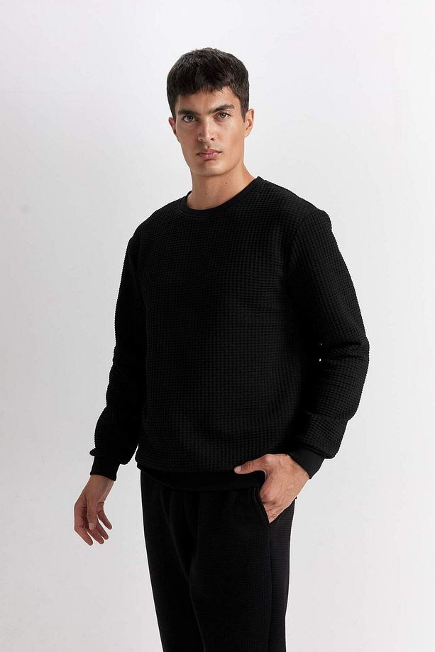 Regular Fit Bisiklet Yaka Jakarlı Sweatshirt D5392AX24AU - 3