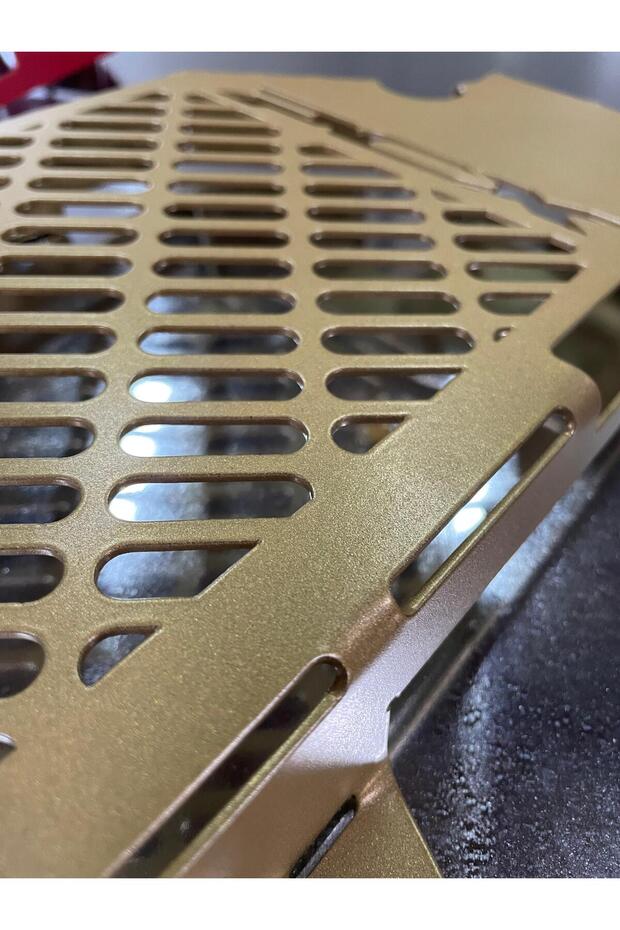 Honda Pcx Radyatör Koruma Gold - 2