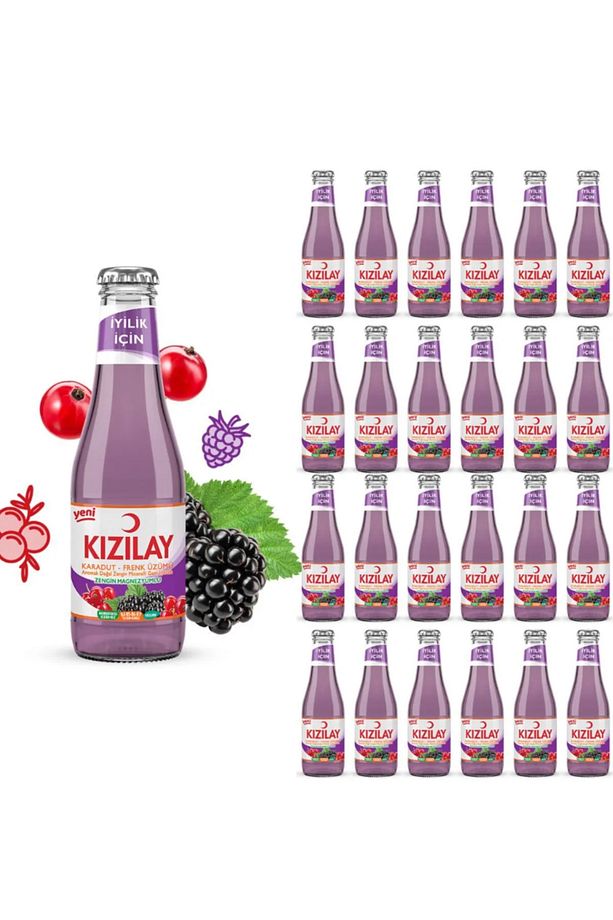 MADEN SUYU DOĞAL KARADUT FRENK ÜZÜMÜ AROMALI 200 ML X 24 ADET - 1
