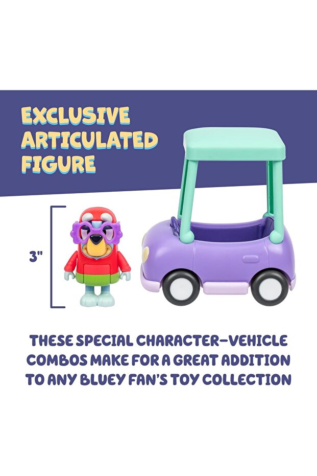 سيارة الجدة الأساسية S13 وجانيت 18924 - 3