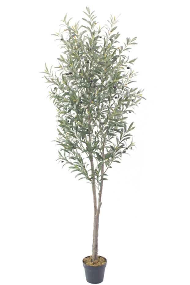 شجرة الزيتون الصناعية-210cm