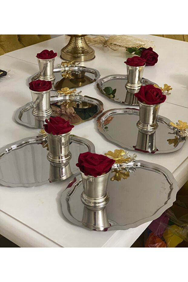 20*25 cm Oval Steel Butterfly Tray and Red Rose Rose Bucket 6-Piece Set
