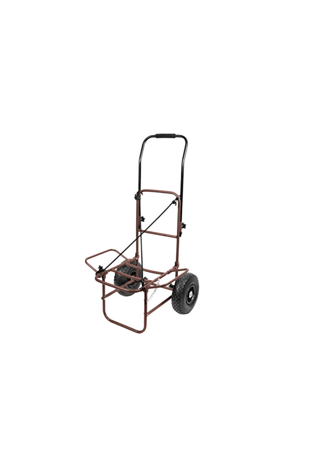 Carucior TRAQSTER - 1