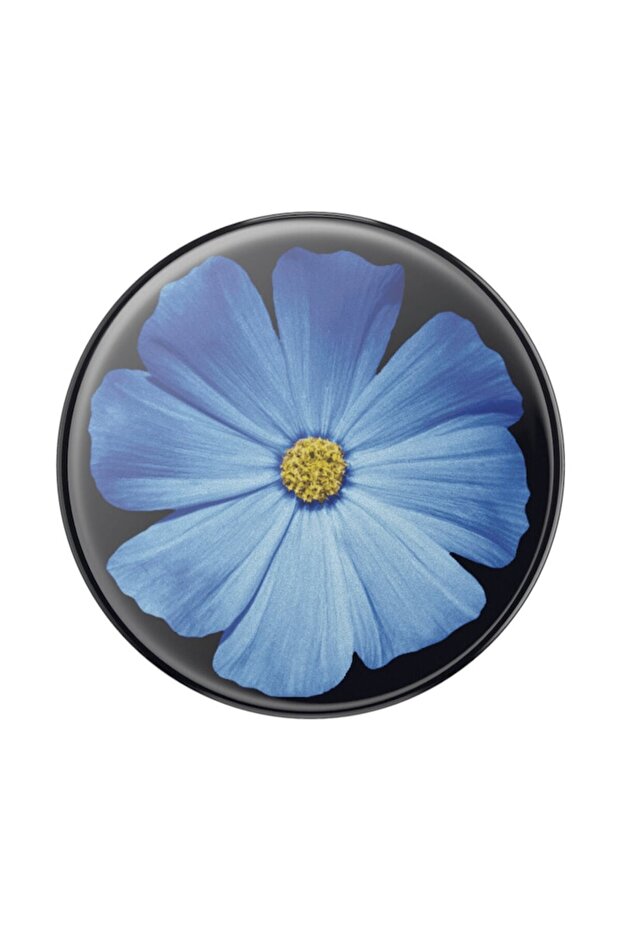 with adhesive support, multiple functions, Blooming Blue, Multicolor - 3