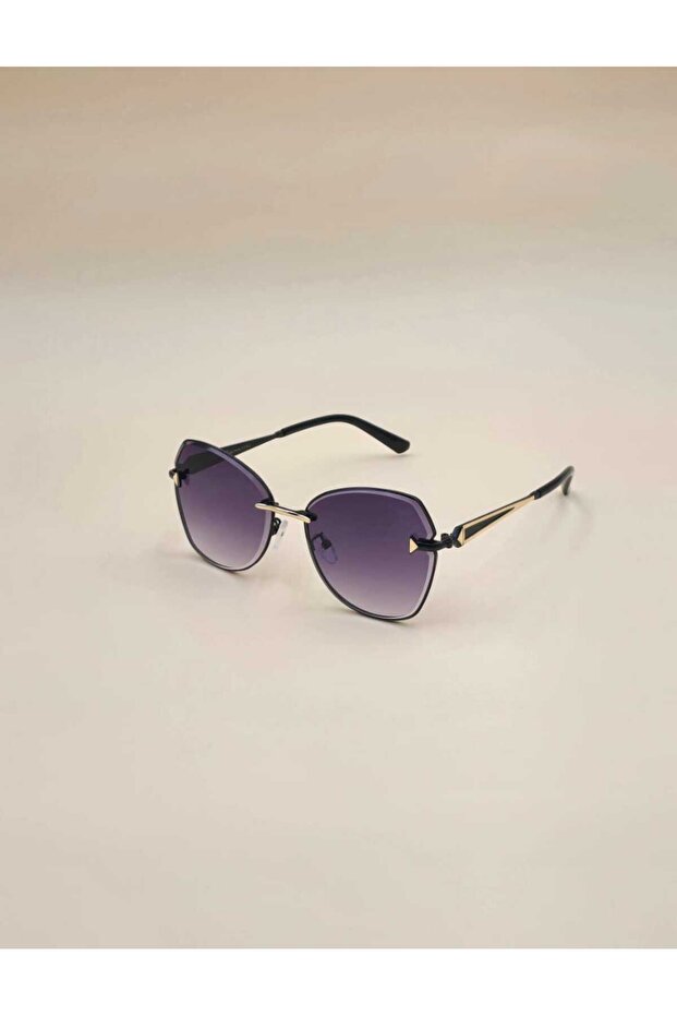 نظاراة شمسية - 1