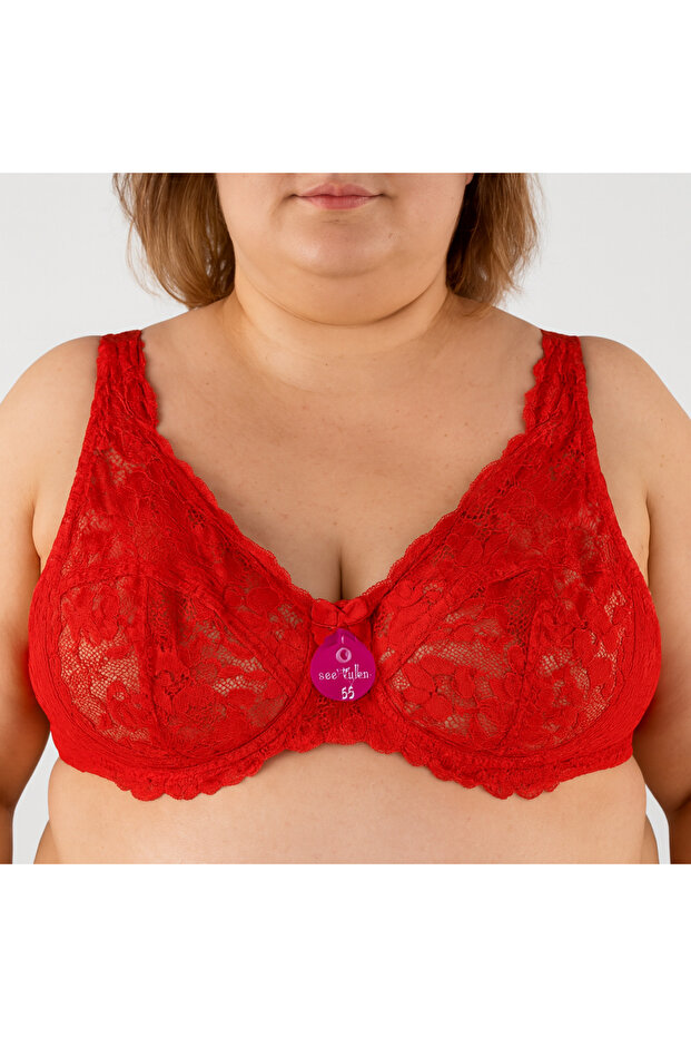 Plus Size Unlined Lace Bra – Sheer Tulle & Satin Detailing, Stylish Underwear