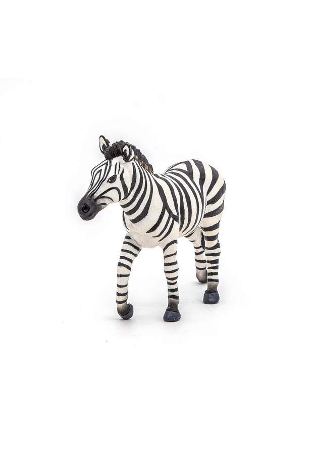 Φιγούρα ζέβρας - 6