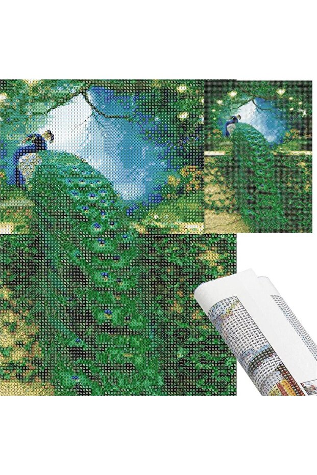 5D diamond embroidery set, 30x40cm, Peacock pattern - 17