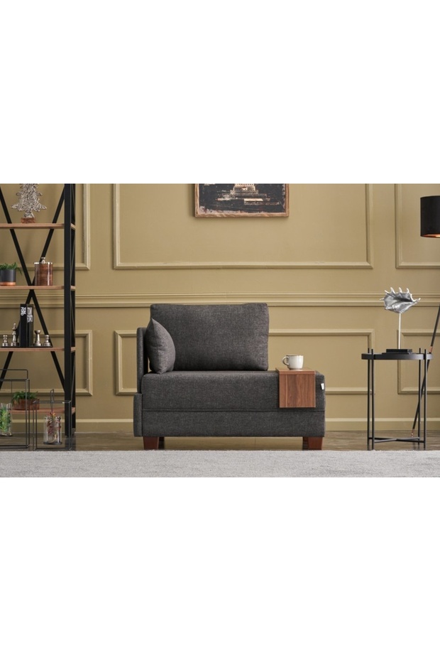 FLY TEKLİ KOLTUK, ANTRASİT - 8