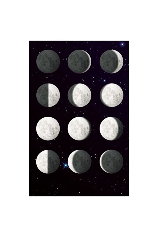 Fazele Lunii interactive STEM cu telecomandă - 2