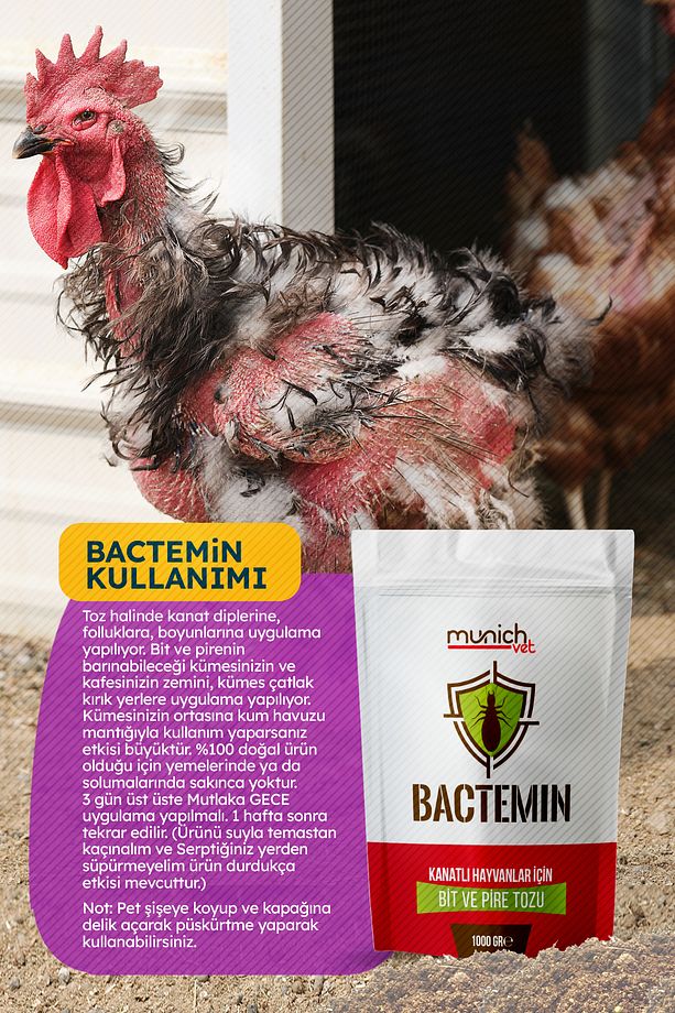 Bactemin Kanatlı Hayvan Bit Pire Tozu 1 Kilo - 3