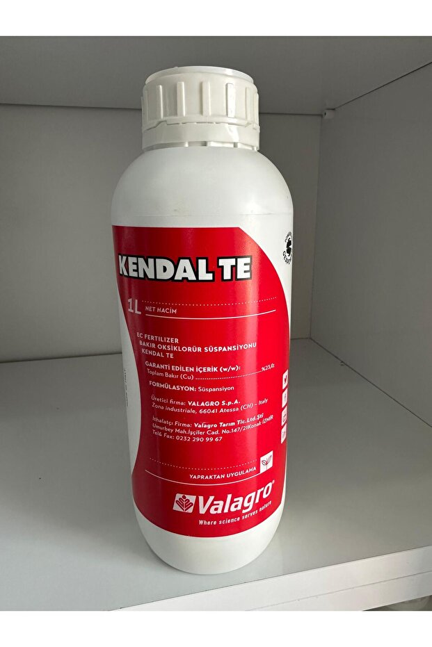 KENDAL TE - 1