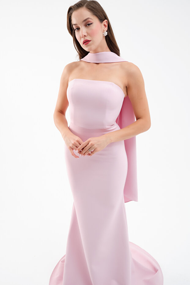 Women's Powder Slim Fit Shawl Collar Detail Long Evening Dress