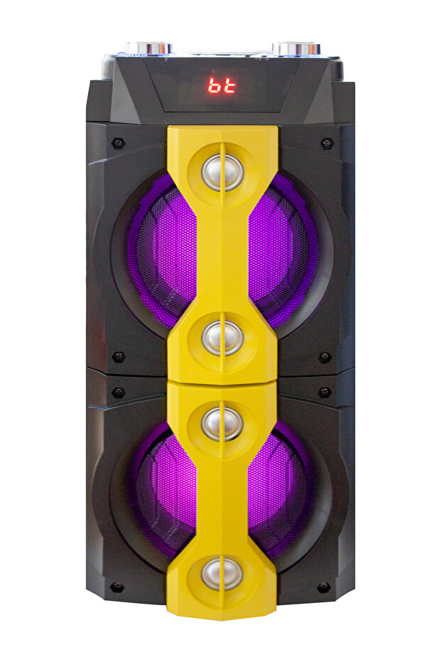 Professional Speaker - 1