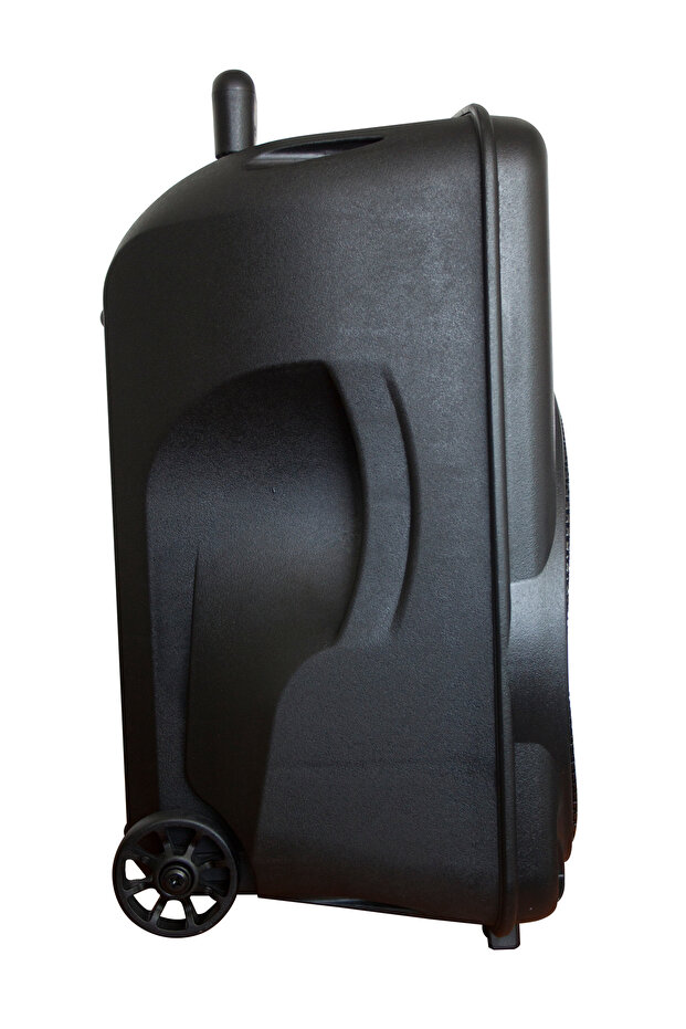 Professional Active Speaker, - 4