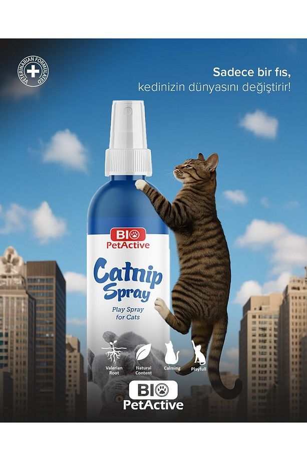 Catnip Kedi Sakinleştirici Oyun Spreyi 100 ml - 2