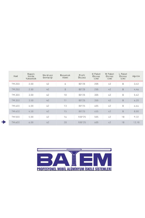 Tek Parça Alüminyum Merdiven 6 Metre 20 Basamaklı (TM.600) - 2