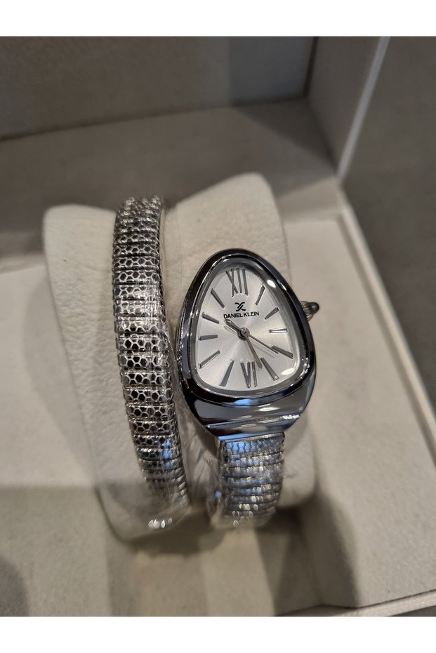 Dk New Year Snake Model Steel Bracelet Women Wristwatch+ Gift Bracelet