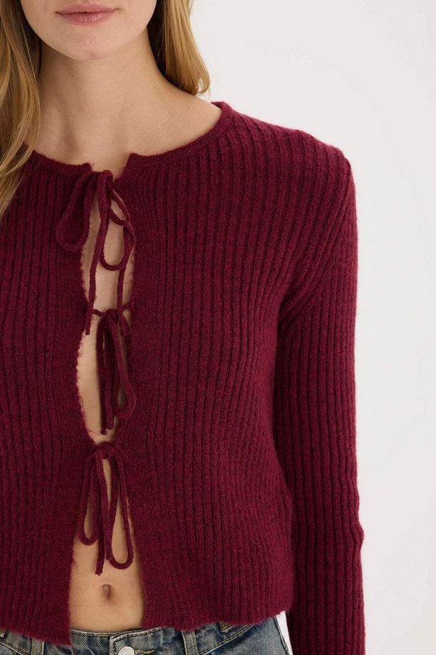 Regular Fit Bisiklet Yaka Bağlamalı Basic Düz Triko Bordo Hırka E6914AX25SP - 6