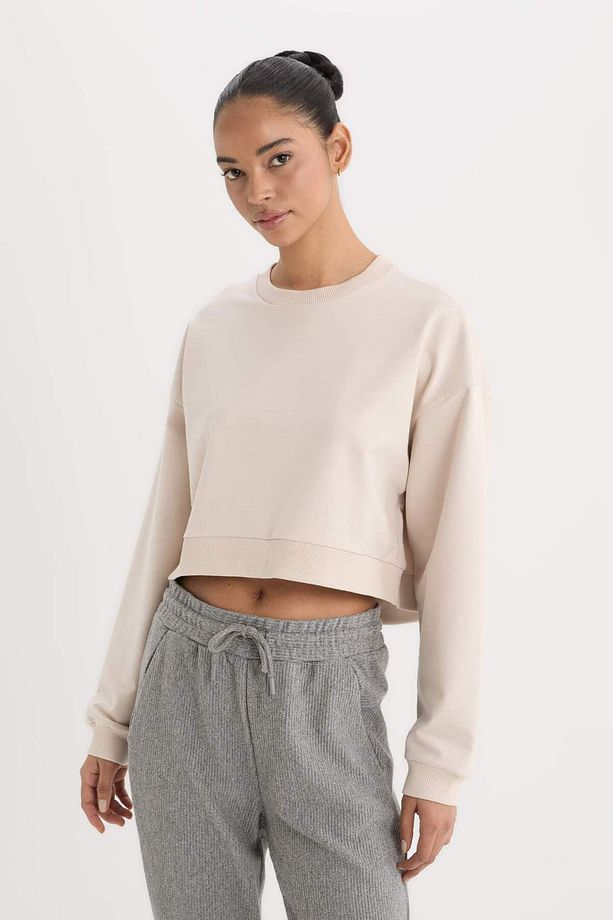 DeFactoFit Bisiklet Yaka Basic Düz  Sporcu Sweatshirt D7119AX25SP - 4